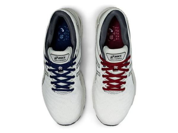 ASICS SHOES | GEL-Nimbus 22 RCxA - Polar Shade/Carrier Grey