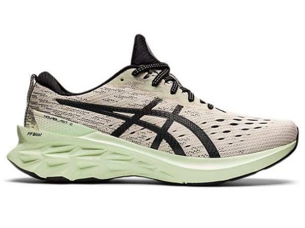 ASICS SHOES | NOVABLAST 2 - Birch/Black