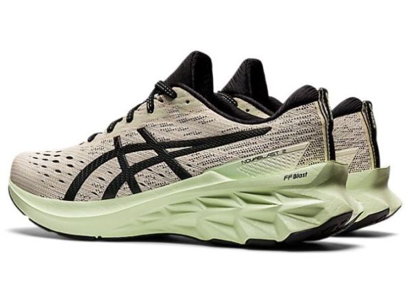 ASICS SHOES | NOVABLAST 2 - Birch/Black