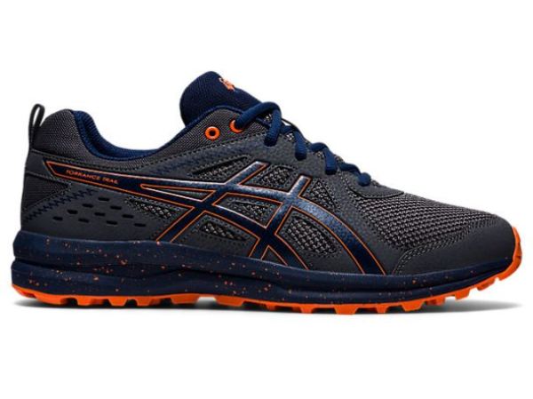 ASICS SHOES | GEL-TORRANCE Trail - Carrier Grey/Blue Expanse