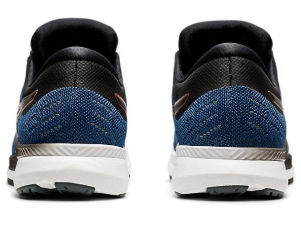 ASICS SHOES | EvoRide - Grand Shark/Pure Bronze