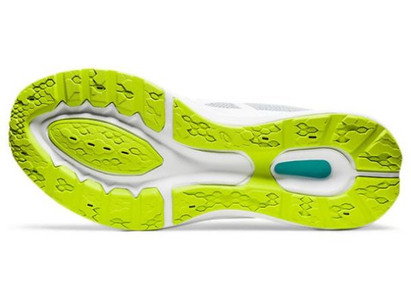 ASICS SHOES | ROADBLAST - Piedmont Grey/White