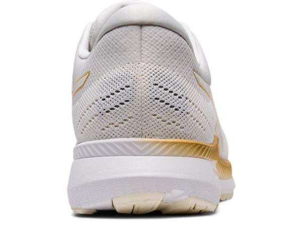 ASICS SHOES | EvoRide - White/White