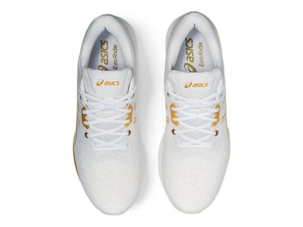 ASICS SHOES | EvoRide - White/White