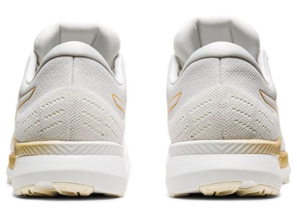 ASICS SHOES | EvoRide - White/White