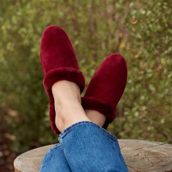 Birdies | The Songbird-Red Suede Fur-Lined Women Slide-Merlot Faux Fur