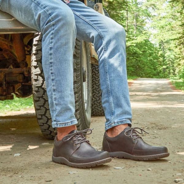 Born | For Men Nigel 3-Eye Slip-Ons & Lace-Ups - Cocoa Brown (Brown)