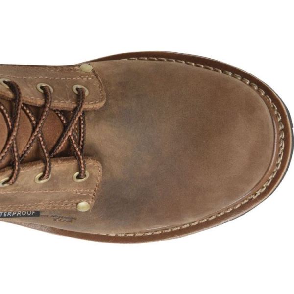 CAROLINA | MEN'S POPLAR COMP TOE in DARK BROWN