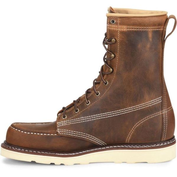 CAROLINA | MEN'S AMP USA in BROWN