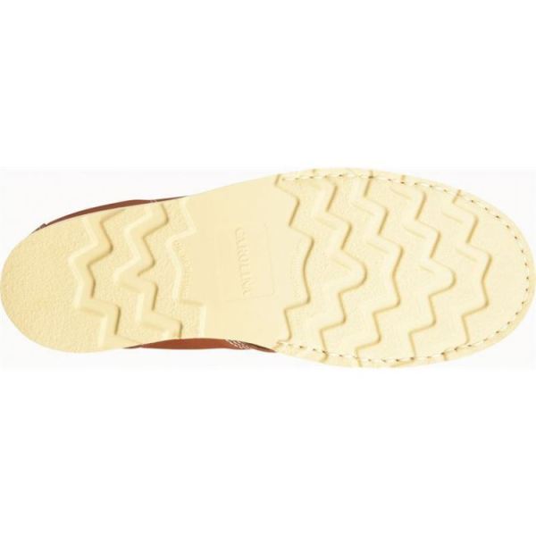 CAROLINA | MEN'S AMP USA in Tobacco