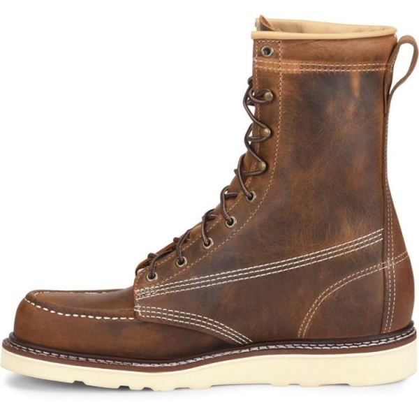 CAROLINA | MEN'S AMP USA in BROWN