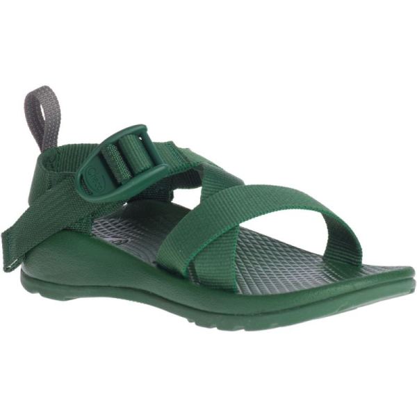 Chacos - Kid's Z/1 EcoTread - Pastures