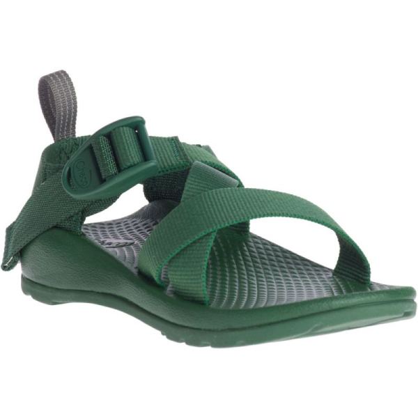 Chacos - Kid's Z/1 EcoTread - Pastures