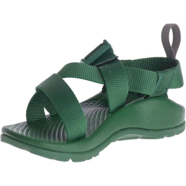 Chacos - Kid's Z/1 EcoTread - Pastures
