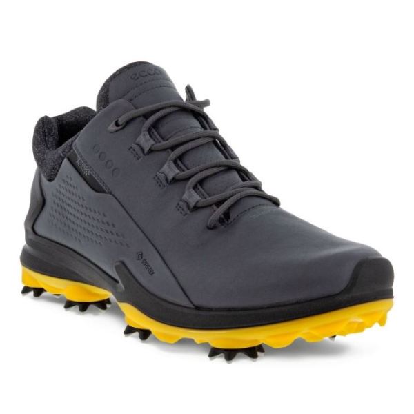 ECCO SHOES -MEN'S BIOM G3 CLEATED GOLF SHOES-MAGNET