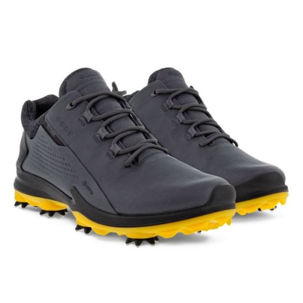 ECCO SHOES -MEN'S BIOM G3 CLEATED GOLF SHOES-MAGNET