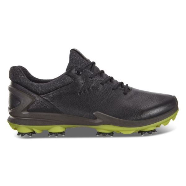 ECCO SHOES -MEN'S BIOM G 3 GOLF SHOE-BLACK