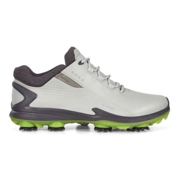 ECCO SHOES -MEN'S BIOM G3 CLEATED GOLF SHOES-CONCRETE