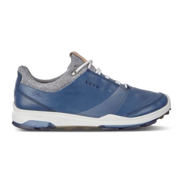 ECCO SHOES -WOMEN'S BIOM HYBRID 3 GTX-DENIM BLUE