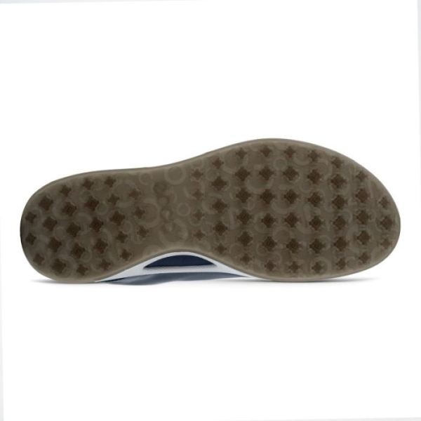 ECCO SHOES -MEN'S GOLF BIOM HYBRID LACED-OMBRE/BUFFED SILVER/NIGHT SKY