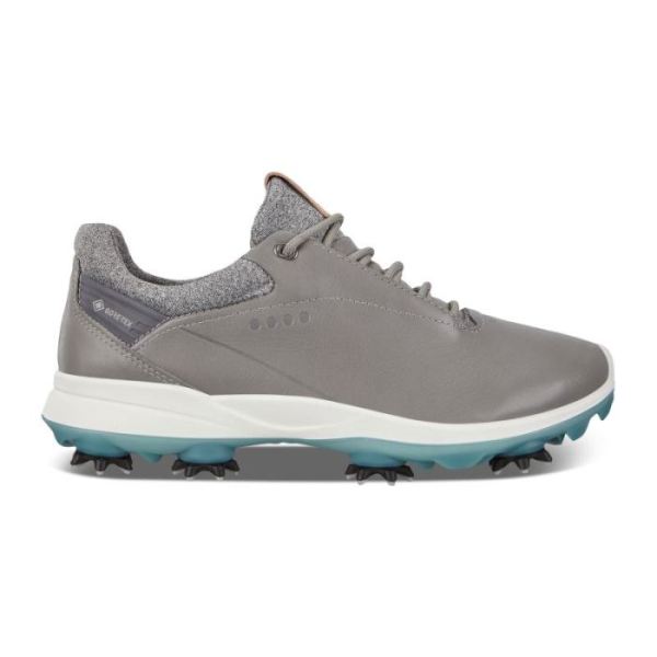 ECCO SHOES -WOMEN'S GOLF BIOM G3 SHOES-WILD DOVE