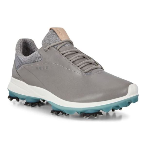 ECCO SHOES -WOMEN'S GOLF BIOM G3 SHOES-WILD DOVE
