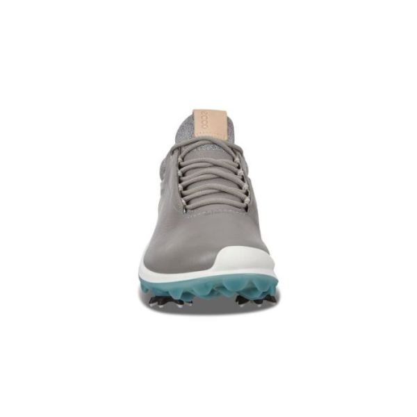 ECCO SHOES -WOMEN'S GOLF BIOM G3 SHOES-WILD DOVE
