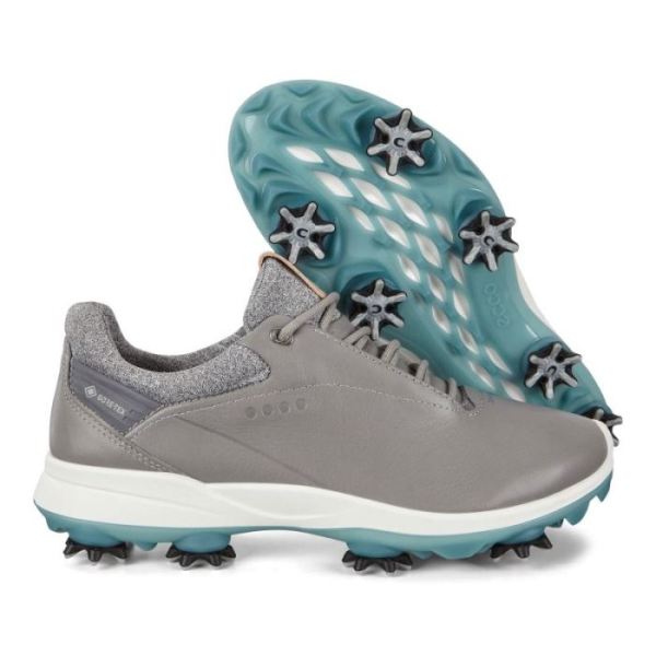 ECCO SHOES -WOMEN'S GOLF BIOM G3 SHOES-WILD DOVE
