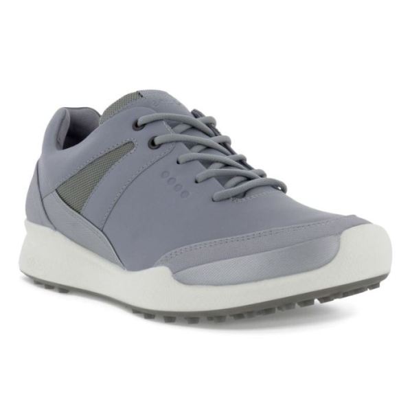 ECCO SHOES -WOMEN'S GOLF BIOM HYBRID SHOE-SILVER GREY/SILVER METALLIC