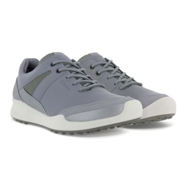 ECCO SHOES -WOMEN'S GOLF BIOM HYBRID SHOE-SILVER GREY/SILVER METALLIC