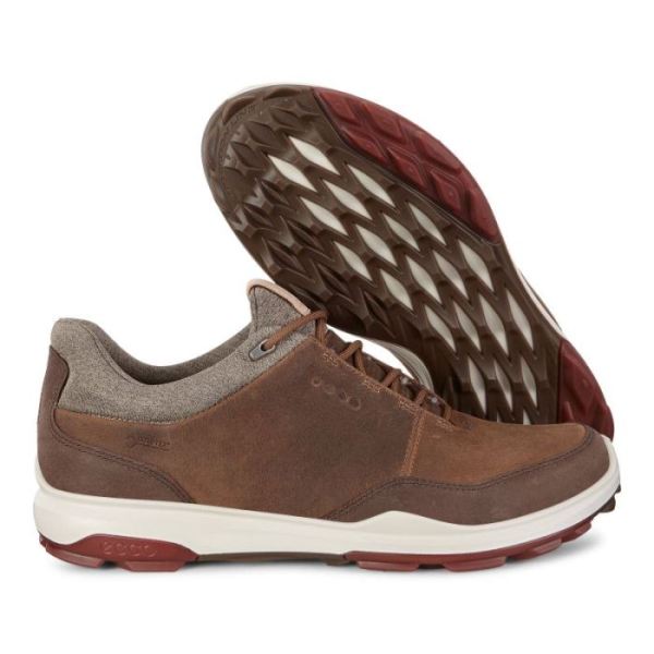 ECCO SHOES -MENS BIOM HYBRID 3 GTX-CAMEL