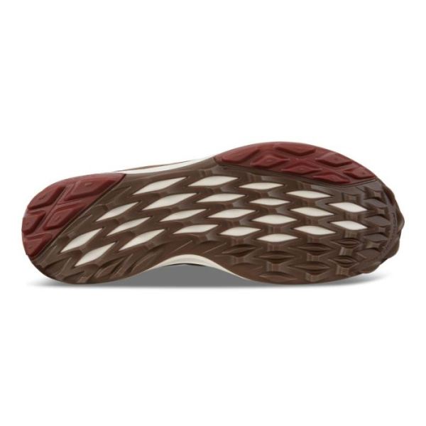 ECCO SHOES -MENS BIOM HYBRID 3 GTX-CAMEL