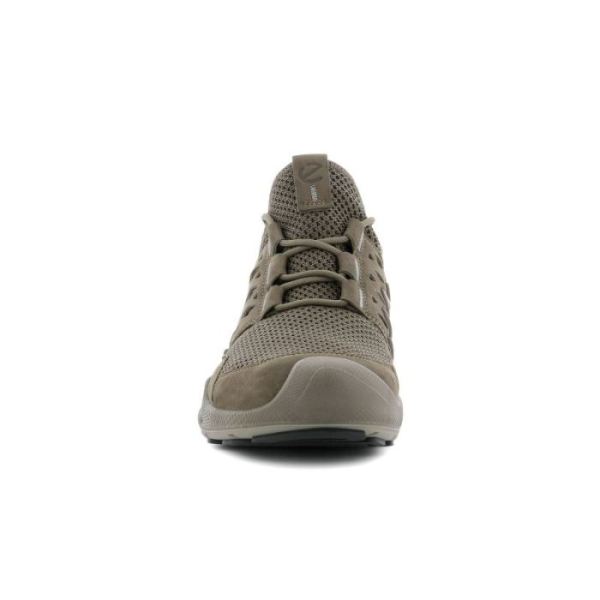 ECCO SHOES -BIOM AEX MEN'S LOW GTX SHOES-TARMAC/DARK CLAY