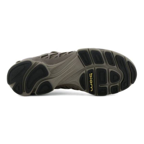 ECCO SHOES -BIOM AEX MEN'S LOW GTX SHOES-TARMAC/DARK CLAY