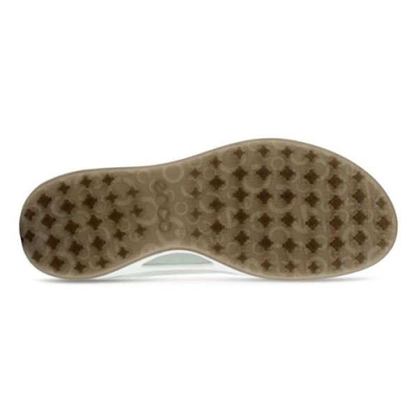 ECCO SHOES -MEN'S GOLF BIOM HYBRID LACED-CONCRETE/SILVER METALLIC/CONCRETE