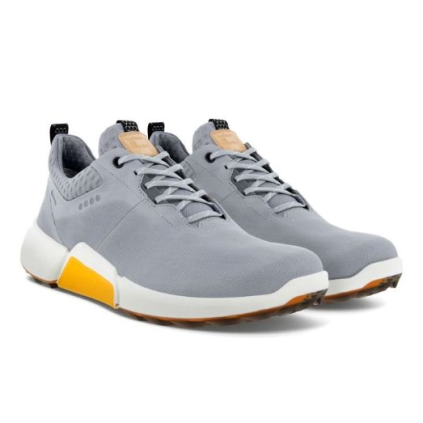ECCO SHOES -MEN'S BIOM H4 GOLF SHOE-SILVER GREY