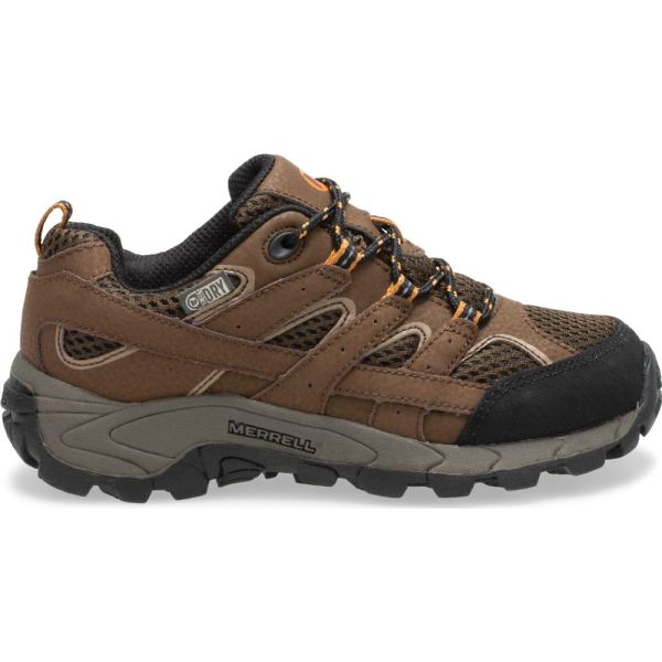 Merrell | Moab 2 Low Lace Waterproof Sneaker-Earth