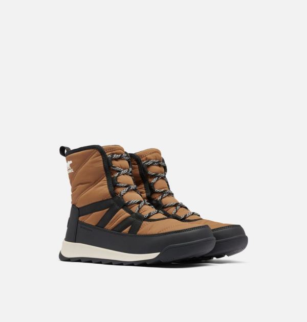 Sorel Shoes Women's Whitney II Short Lace Boot-Elk