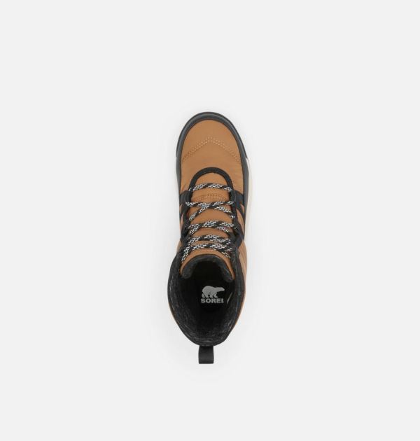 Sorel Shoes Women's Whitney II Short Lace Boot-Elk