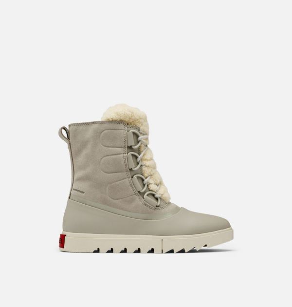 Sorel Shoes Women's Joan Of Arctic NEXT LITE Boot-Dove