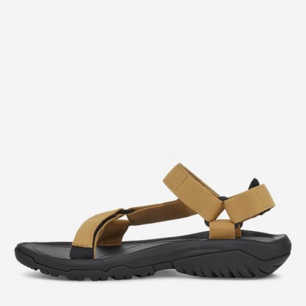 Teva | Men's Hurricane XLT2 - HONEY MUSTARD