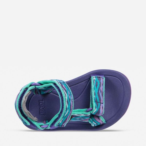 Teva | Big Kids Hurricane XLT 2 - DELMAR SEA GLASS / PURPLE